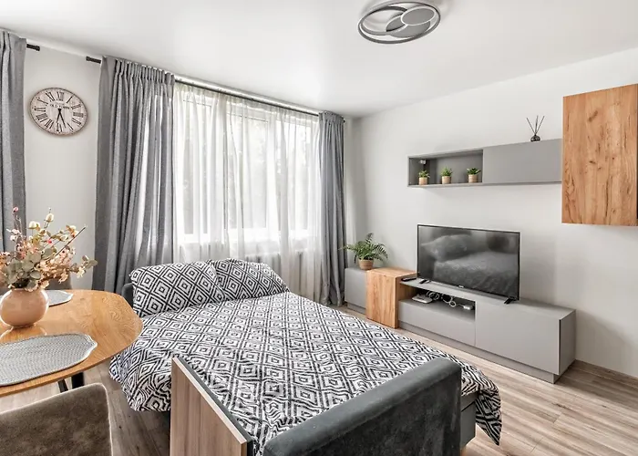 Cozy Apartment Klaipeda